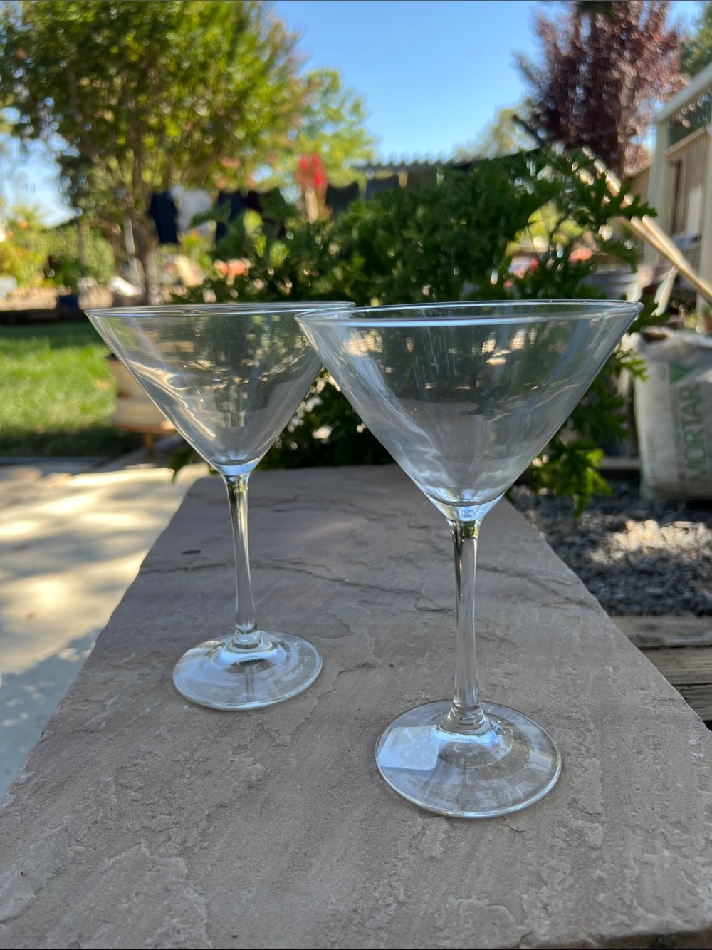Martini Glasses - Set of 2